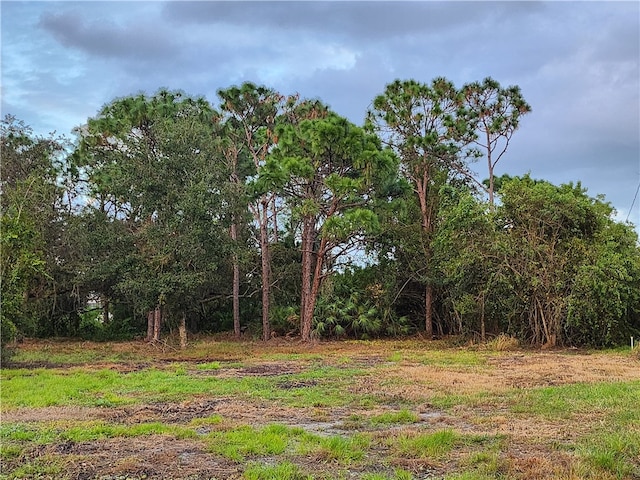 11126 Mulberry St, Sebastian FL, 32958 land for sale