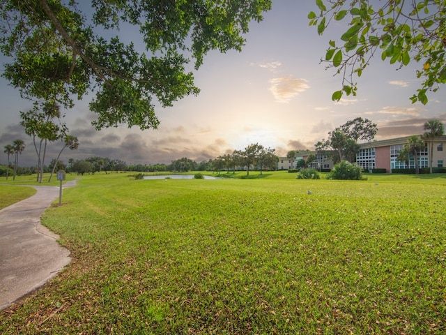 view of yard at dusk