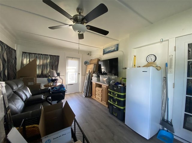 living room with dark hardwood / wood-style floors and ceiling fan