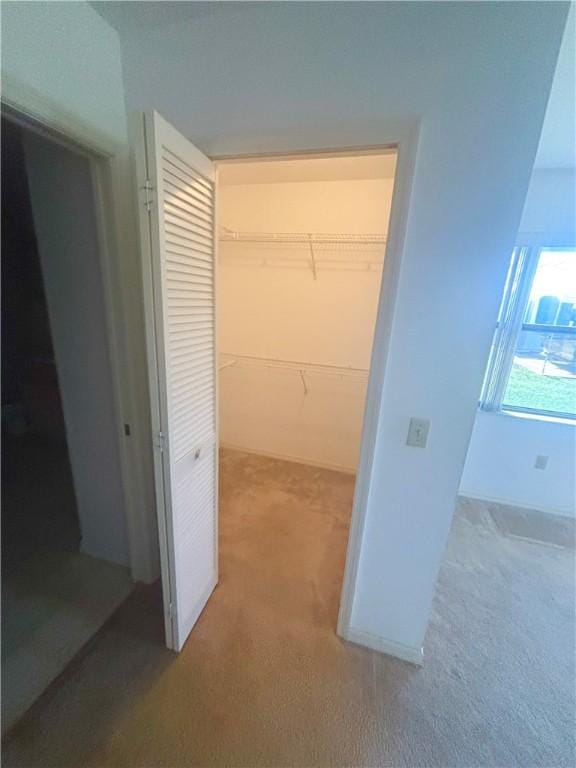 interior space featuring carpet floors
