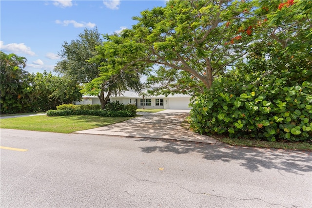 25 Park Ave, Vero Beach, FL 32960 - view of front of house featuring concrete driveway, an attached garage, and a front lawn