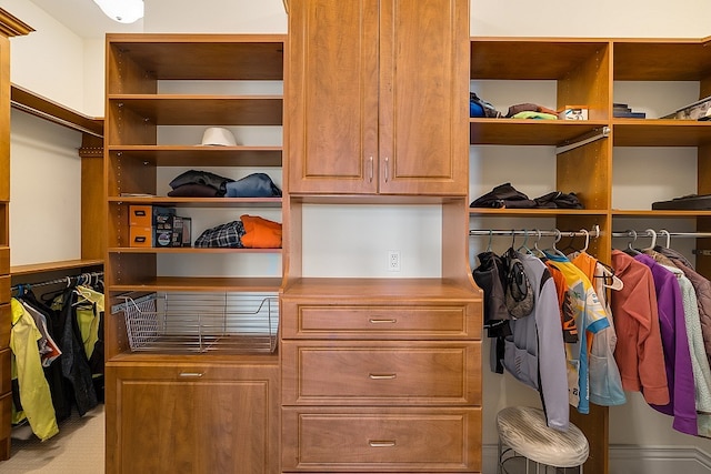 view of walk in closet