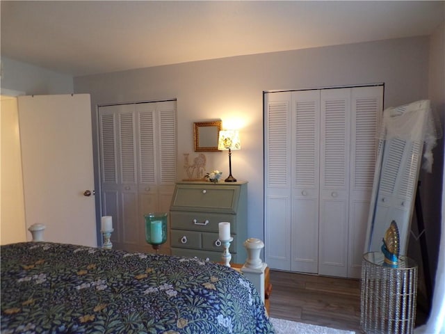 bedroom with multiple closets and wood finished floors