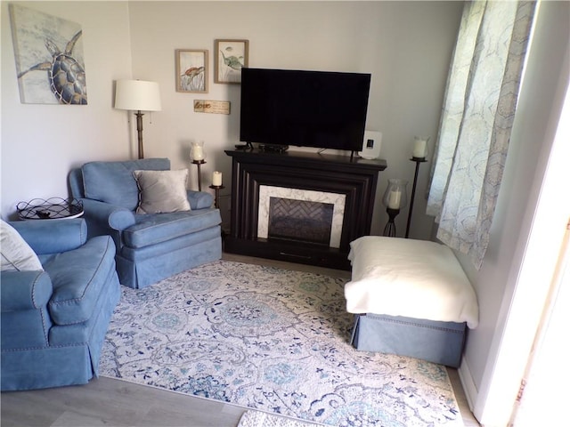living room featuring a high end fireplace