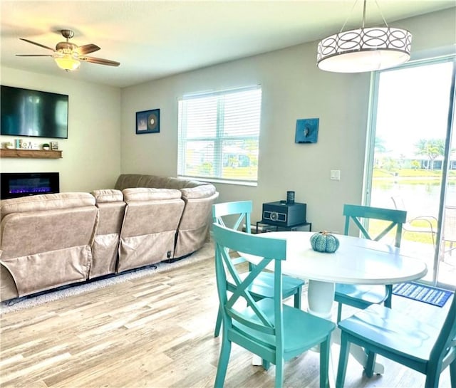 dining room featuring hardwood / wood-style flooring and ceiling fan