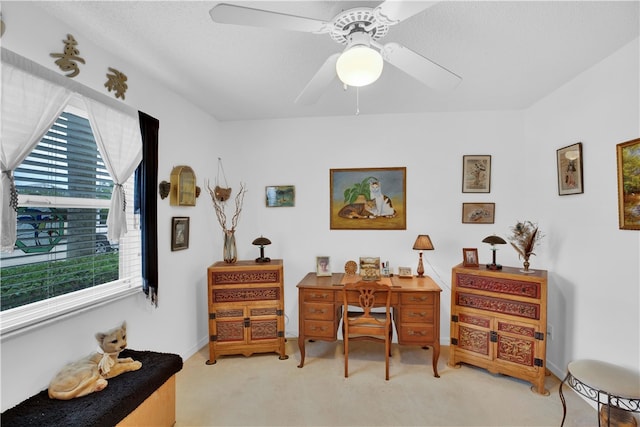 office with ceiling fan and carpet floors