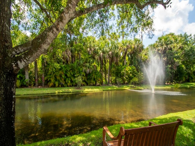 view of water feature