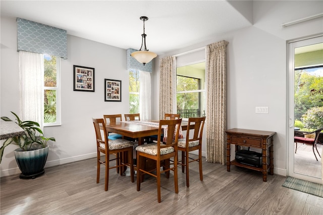 dining room with light hardwood / wood-style floors