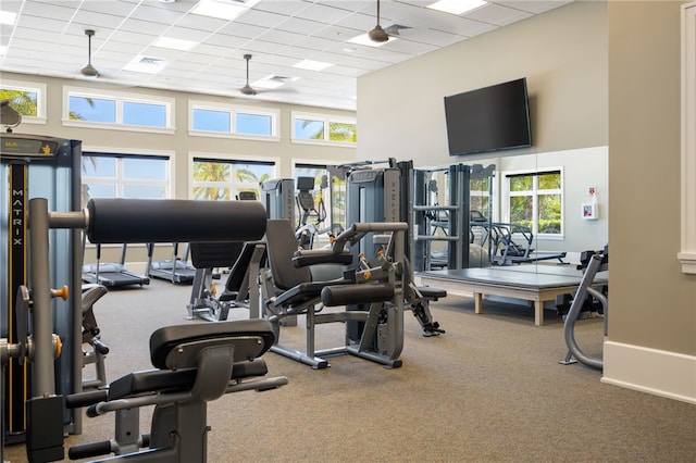 gym featuring carpet flooring, ceiling fan, a drop ceiling, and a healthy amount of sunlight