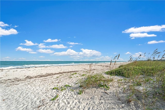 water view featuring a beach view