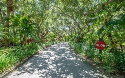 1440 Winding Oaks Cir W Unit A204, Vero Beach, FL 32963 - view of street featuring a wooded view