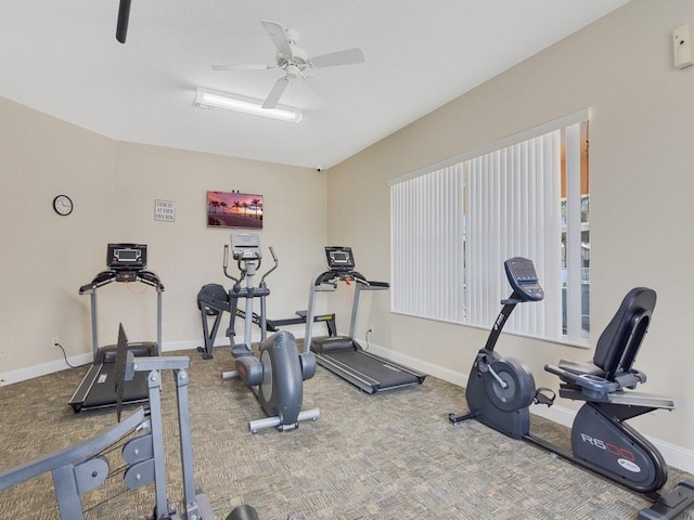 exercise room with ceiling fan and carpet floors