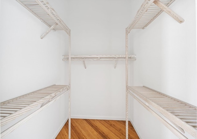 spacious closet with wood-type flooring