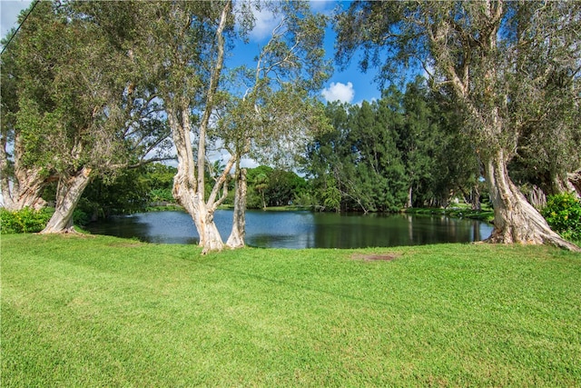 view of water feature