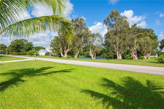 view of community featuring a lawn