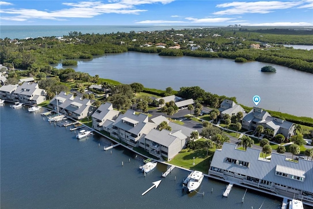 bird's eye view with a water view