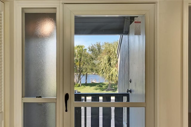 doorway with plenty of natural light and a water view