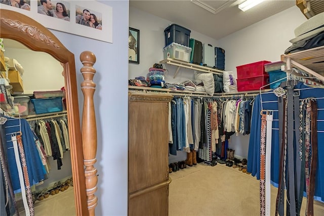 spacious closet with carpet