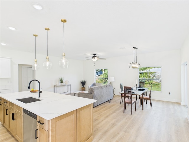 kitchen featuring light wood-style floors, a healthy amount of sunlight, stainless steel dishwasher, and a sink