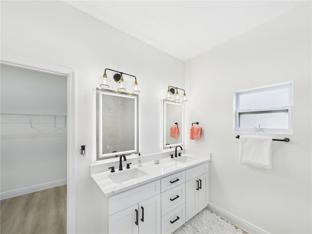 bathroom with a walk in closet, double vanity, baseboards, and a sink