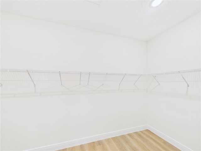 walk in closet with light wood-style flooring