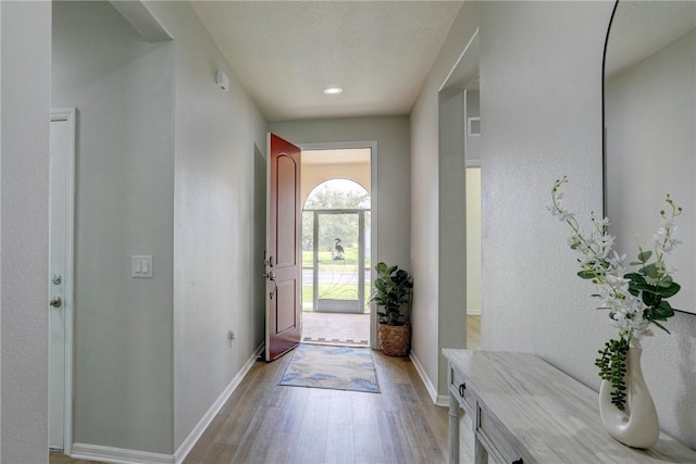 240 Barbossa Dr, Sebastian, FL 32958 - foyer with light wood-type flooring and recessed lighting