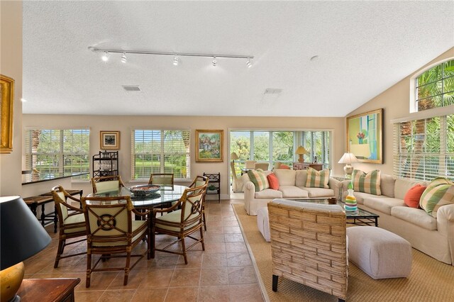 living room with a textured ceiling, track lighting, a wealth of natural light, and lofted ceiling