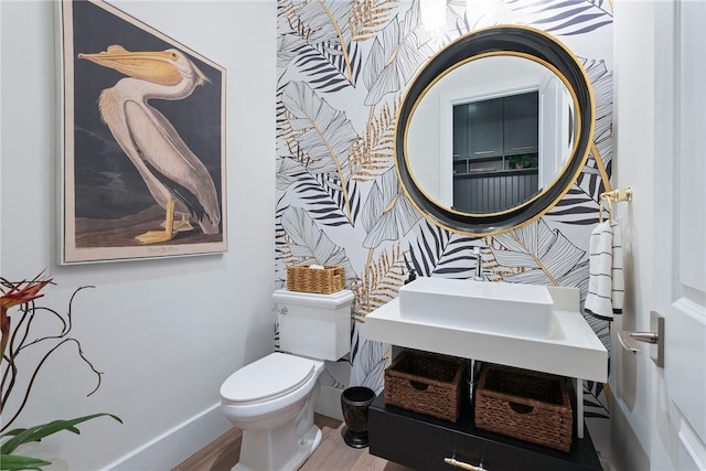 bathroom featuring toilet and hardwood / wood-style flooring