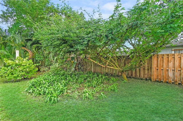 1925 Sylvester Ln, Port St Lucie, FL 34984 - view of yard