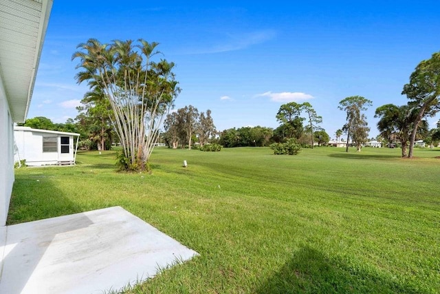 view of yard featuring a patio area