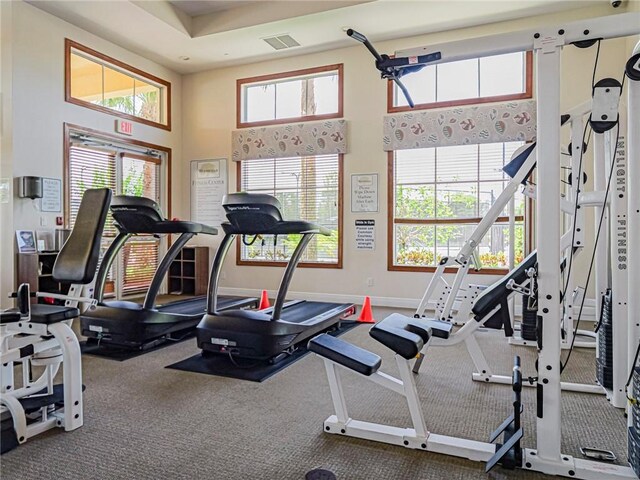 6243 Thames Pl, Vero Beach, FL 32966 - gym featuring a towering ceiling and carpet floors