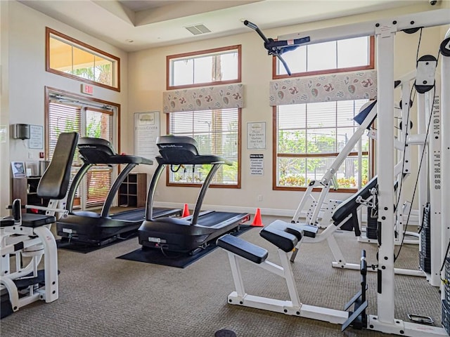 6243 Thames Pl, Vero Beach, FL 32966 - gym featuring a towering ceiling and carpet floors