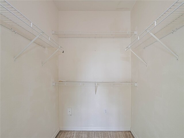 view of walk in closet