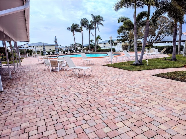 view of pool featuring a patio