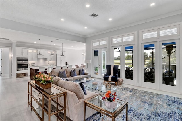 living room featuring a textured ceiling, crown molding, and sink