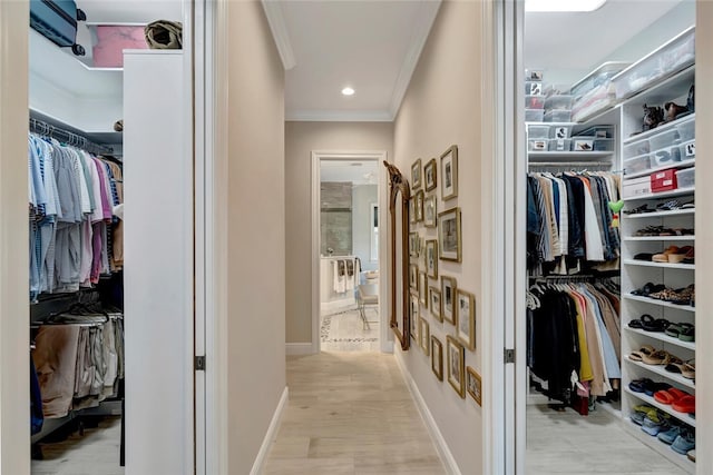 walk in closet featuring light hardwood / wood-style flooring