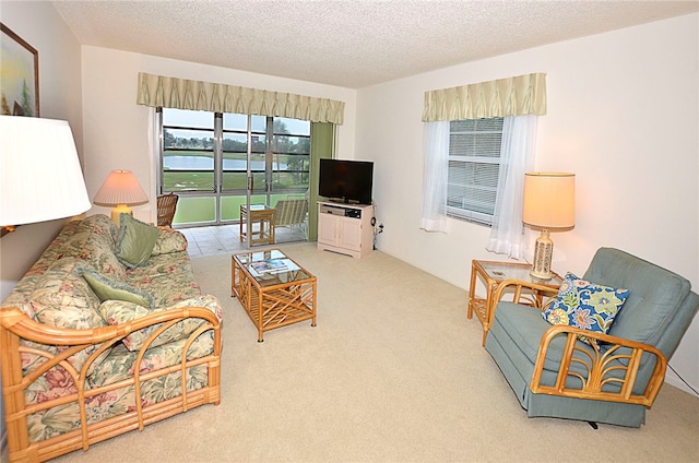 carpeted living room with a textured ceiling