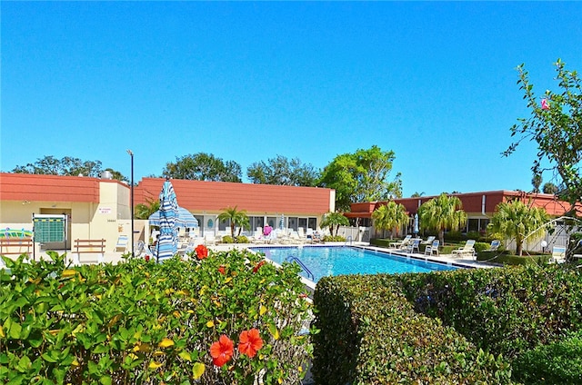 view of swimming pool with a patio area