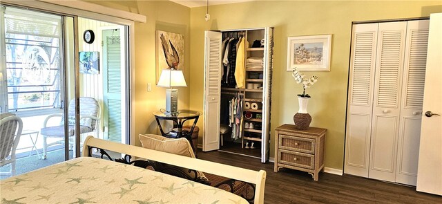 bedroom featuring access to outside, multiple closets, and dark wood-type flooring