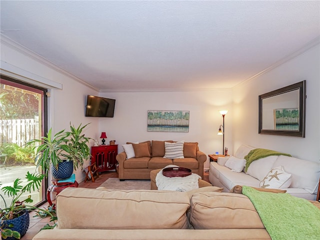 living room featuring ornamental molding