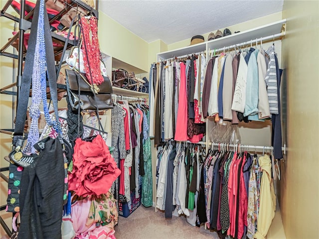 walk in closet featuring carpet flooring