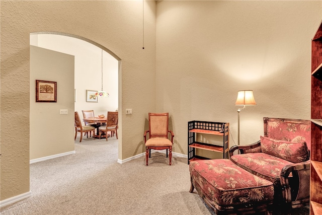 sitting room with carpet floors