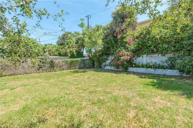 681 S Orlando Ave, Cocoa Beach, FL 32931 - view of yard