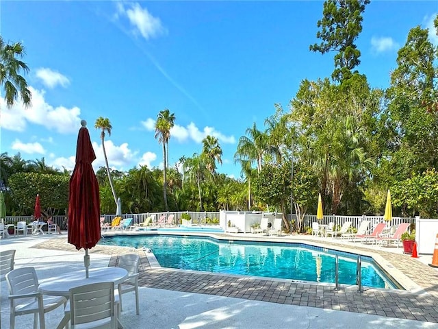 view of swimming pool with a patio area