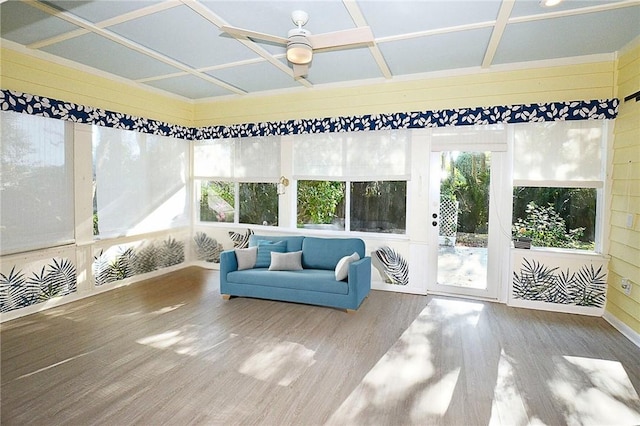 sunroom with a healthy amount of sunlight, coffered ceiling, and ceiling fan