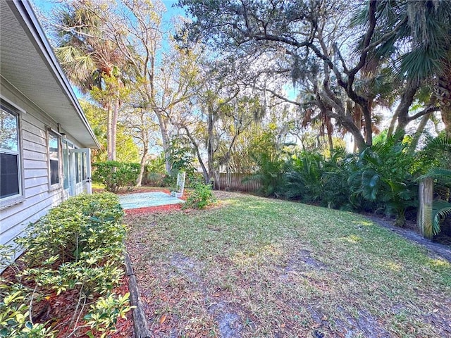 view of yard featuring a patio area