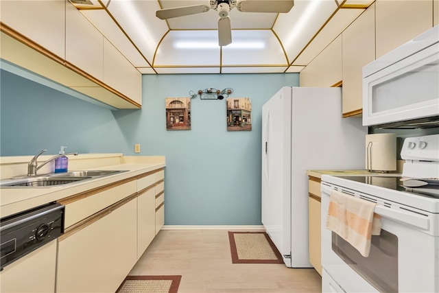 kitchen with sink, light hardwood / wood-style floors, and white appliances