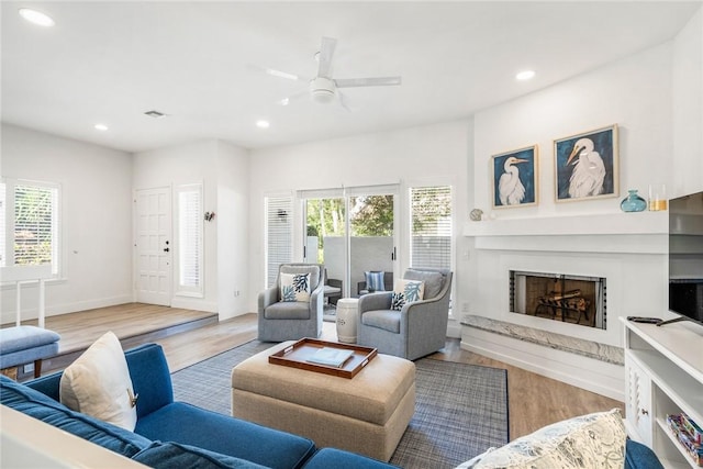 living area featuring a healthy amount of sunlight, a fireplace, and wood finished floors