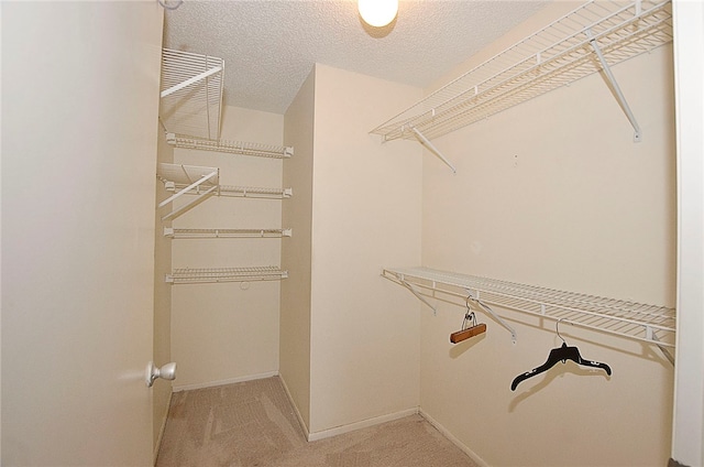 spacious closet featuring carpet flooring