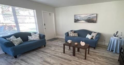 living room featuring hardwood / wood-style flooring